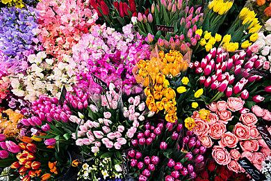 终极生存模拟游戏《Surviving the Aftermath》 “专家”和“科技树”介绍