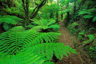 《金垦小镇》确定登陆任天堂Switch并开启预售 