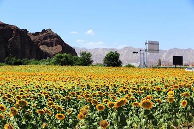 PS5全球销量破2000万 索尼计划提高产量